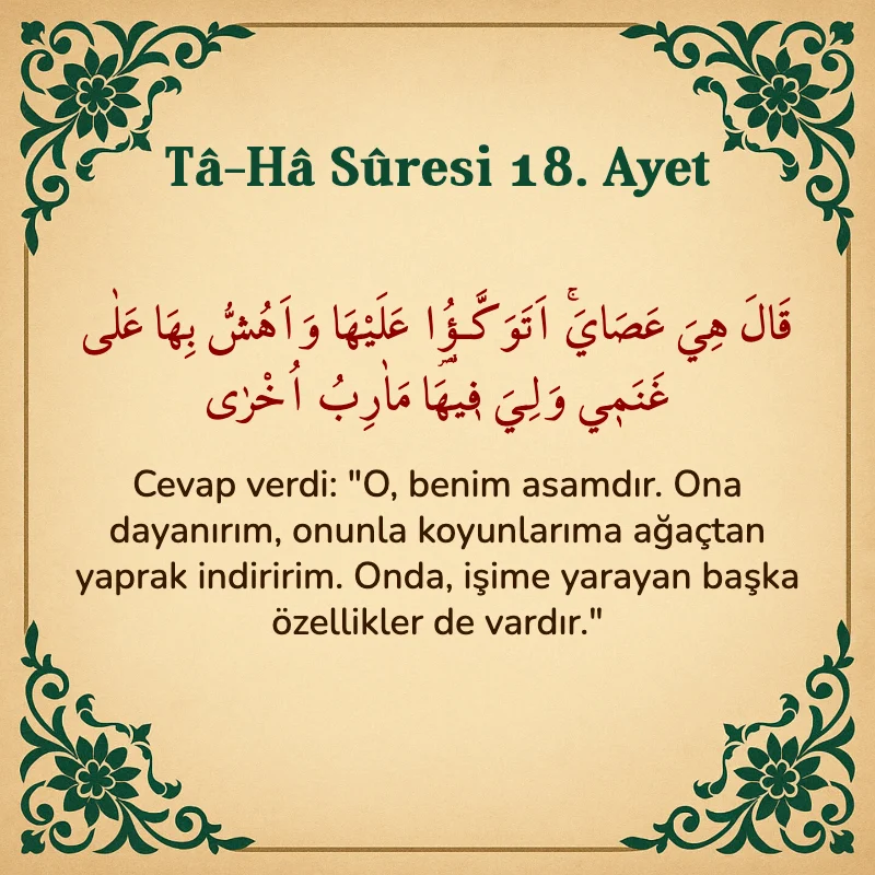 Taha Suresi 18. Ayet Arapça ve Türkçe meali