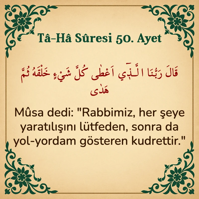 Taha Suresi 50. Ayet Arapça ve Türkçe meali