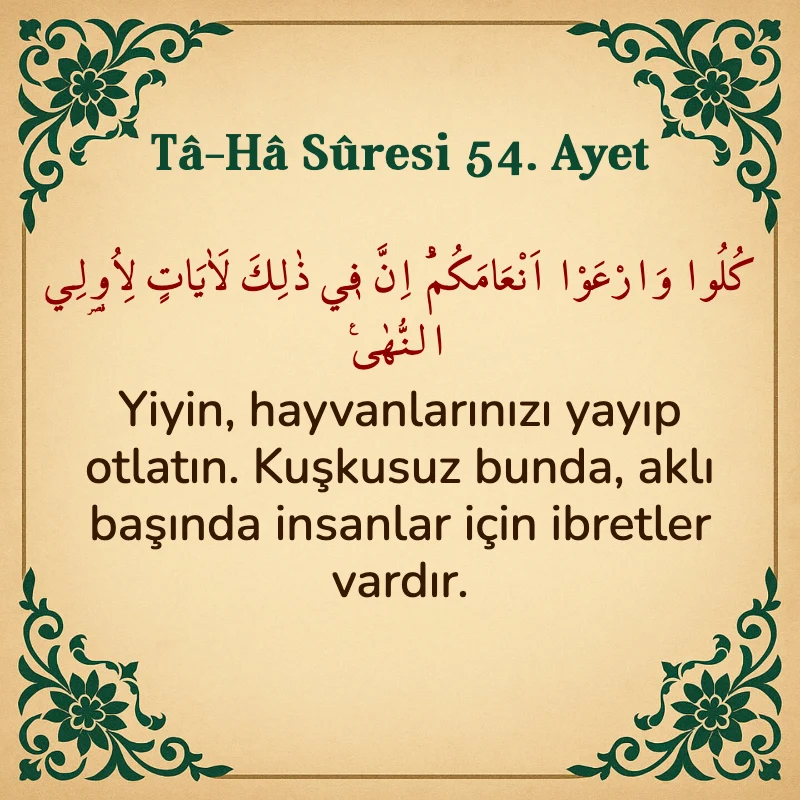 Taha Suresi 54. Ayet Arapça ve Türkçe meali