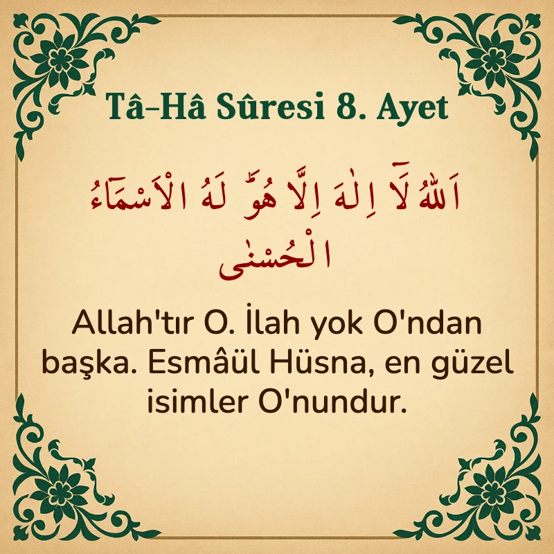 Taha Suresi 8. Ayet Arapça ve Türkçe meali