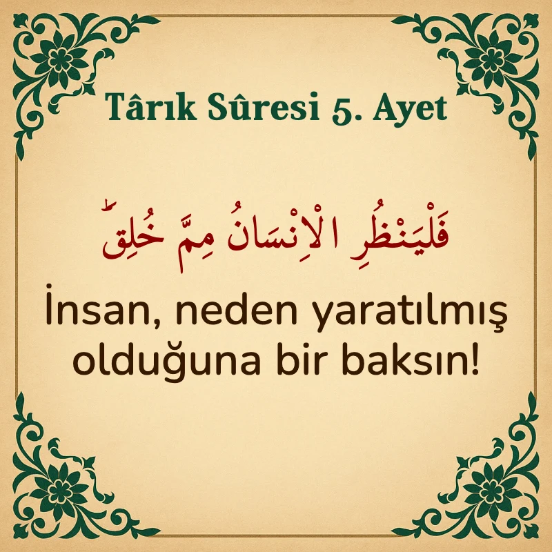 Tarık Suresi 5. Ayet Arapça ve Türkçe meali