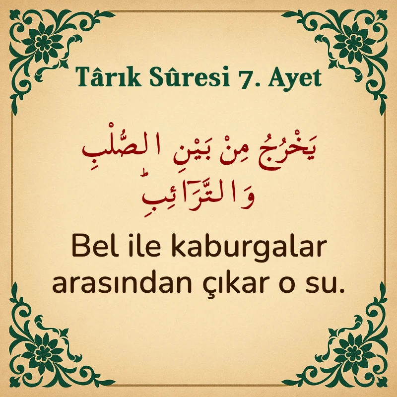 Tarık Suresi 7. Ayet Arapça ve Türkçe meali