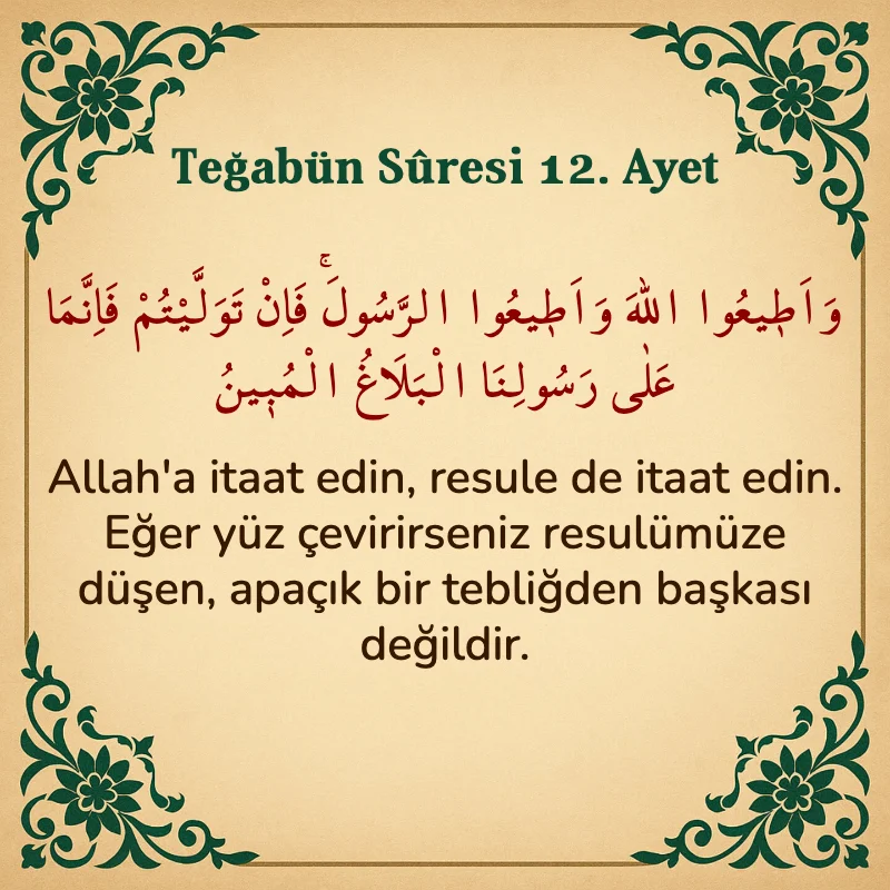 Teğabun Suresi 12. Ayet Arapça ve Türkçe meali