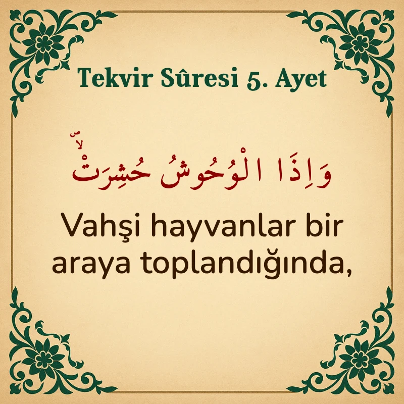 Tekvir Suresi 5. Ayet Arapça ve Türkçe meali