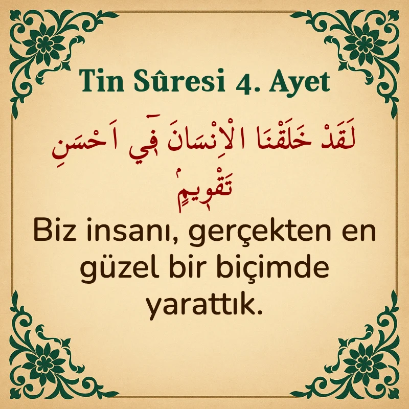 Tin Suresi 4. Ayet Arapça ve Türkçe meali