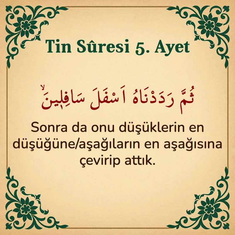 Tin Suresi 5. Ayet Arapça ve Türkçe meali