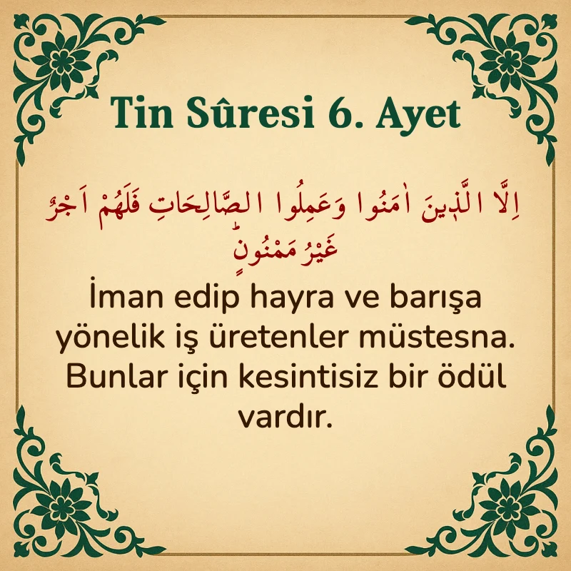 Tin Suresi 6. Ayet Arapça ve Türkçe meali