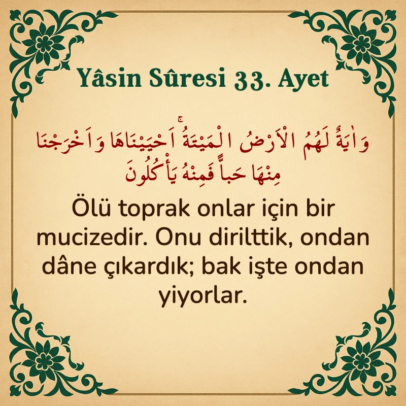 Yasin Suresi 33. Ayet Arapça ve Türkçe meali