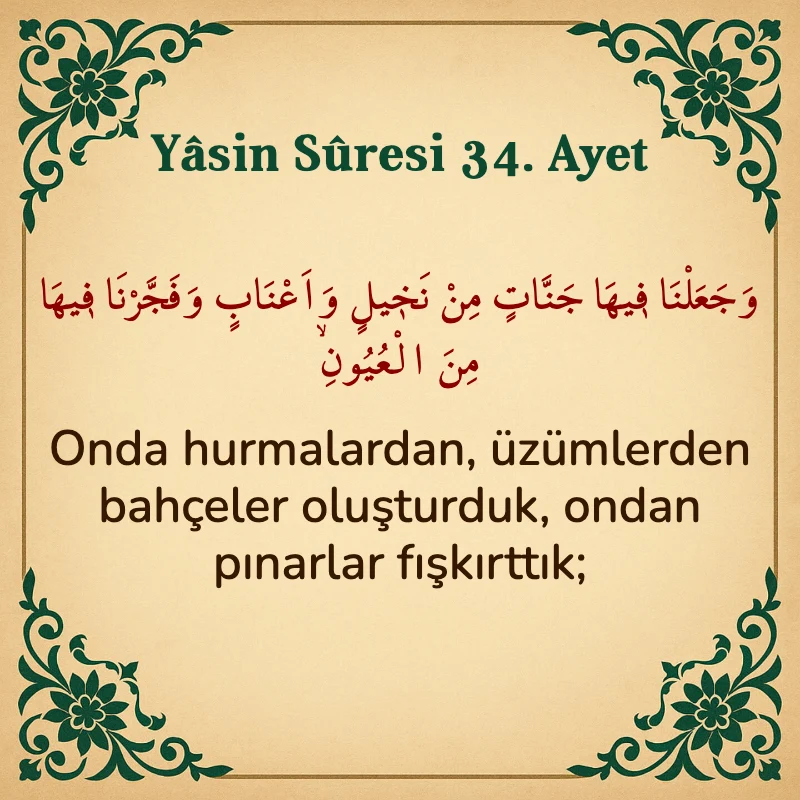 Yasin Suresi 34. Ayet Arapça ve Türkçe meali
