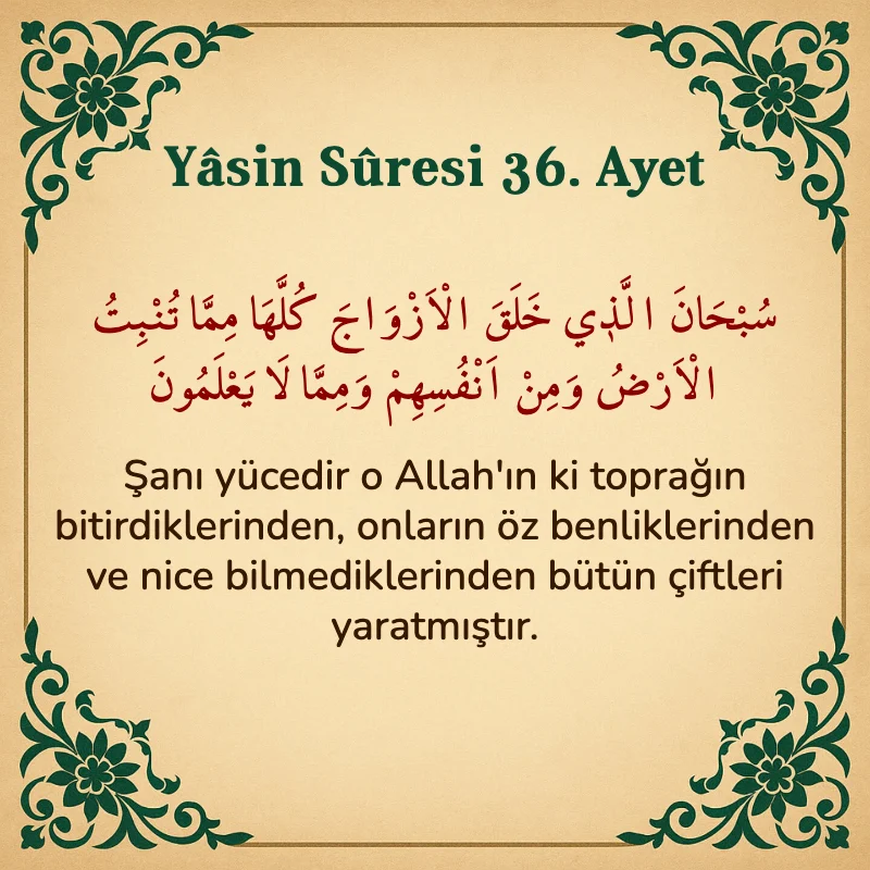Yasin Suresi 36. Ayet Arapça ve Türkçe meali