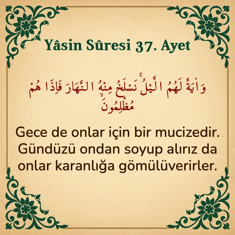 Yasin Suresi 37. Ayet Arapça ve Türkçe meali
