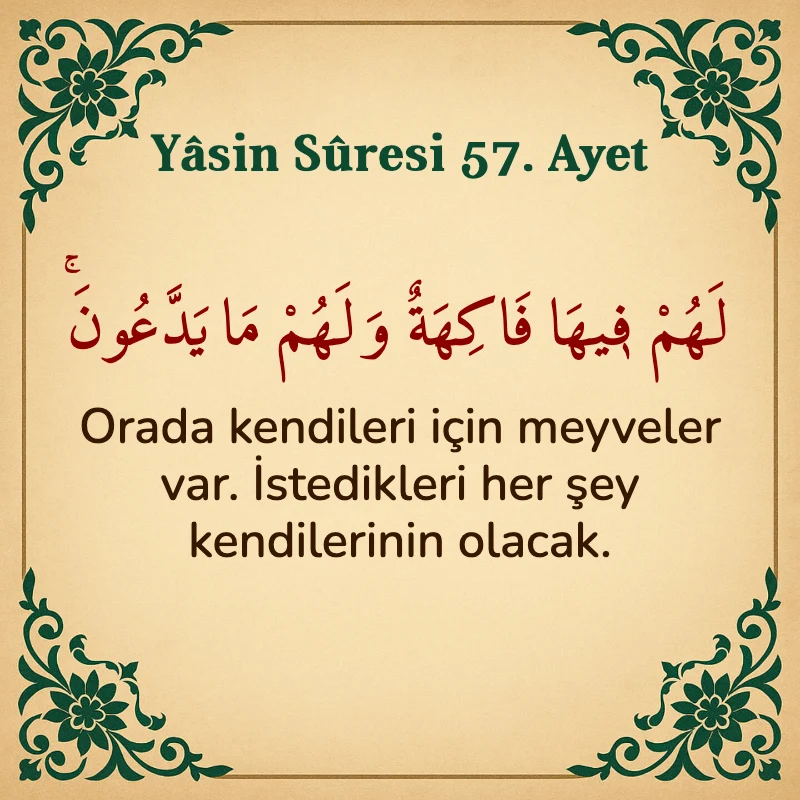 Yasin Suresi 57. Ayet Arapça ve Türkçe meali