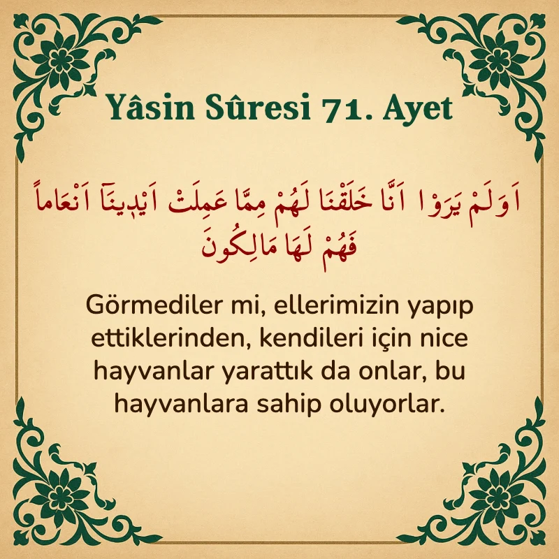 Yasin Suresi 71. Ayet Arapça ve Türkçe meali