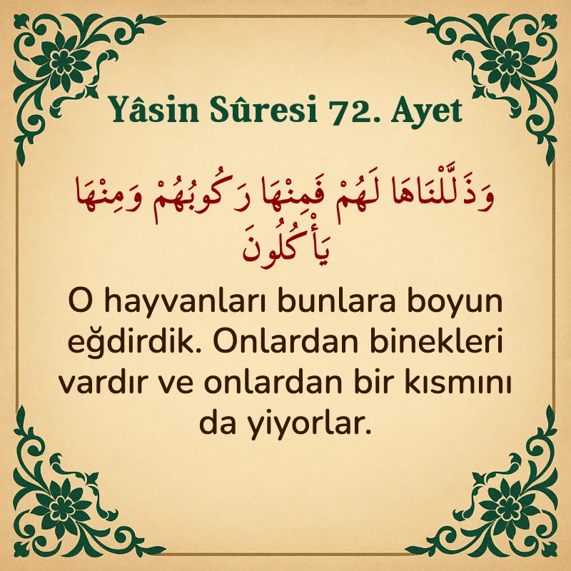 Yasin Suresi 72. Ayet Arapça ve Türkçe meali