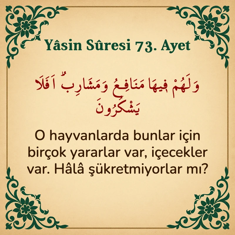 Yasin Suresi 73. Ayet Arapça ve Türkçe meali
