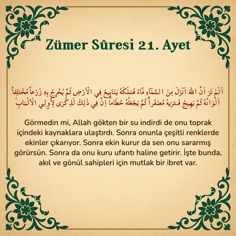 Zümer Suresi 21. Ayet Arapça ve Türkçe meali