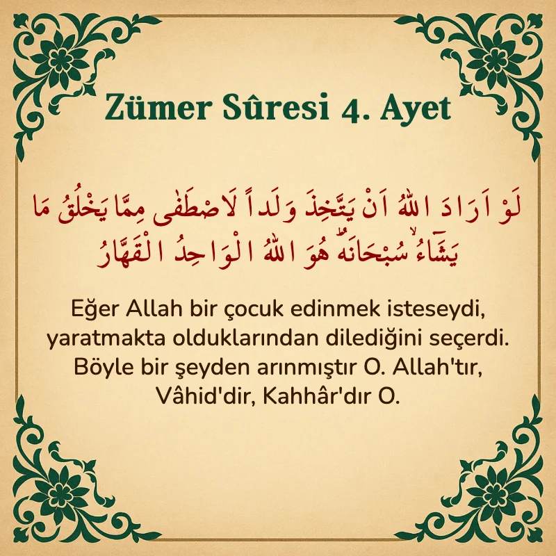 Zümer Suresi 4. Ayet Arapça ve Türkçe meali