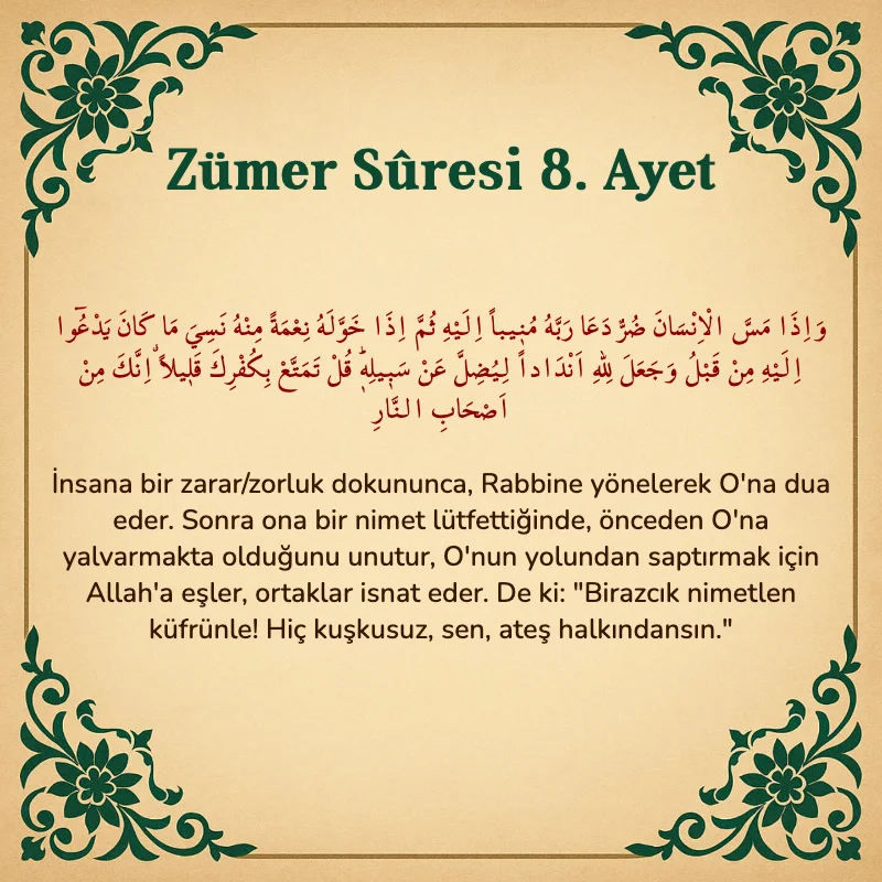 Zümer Suresi 8. Ayet Arapça ve Türkçe meali