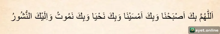 Peygamber Efendimizin En Çok Okuduğu Sabah Duası