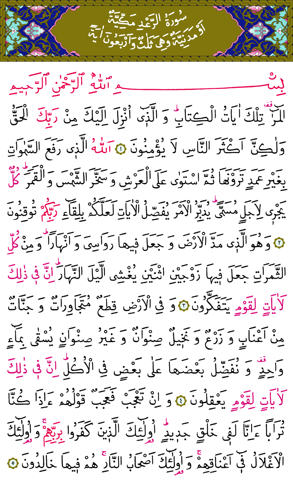 Ra'd Sûresi - 248. Sayfa Arapçası
