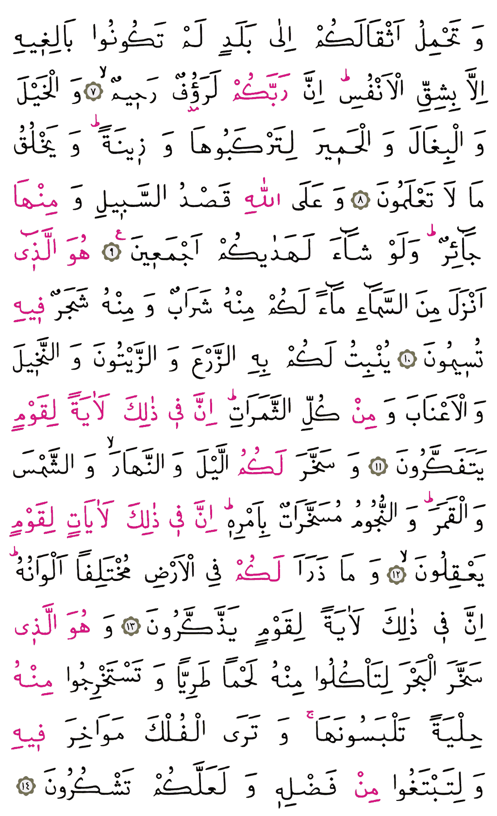 Nahl Sûresi - 267. Sayfa Arapçası