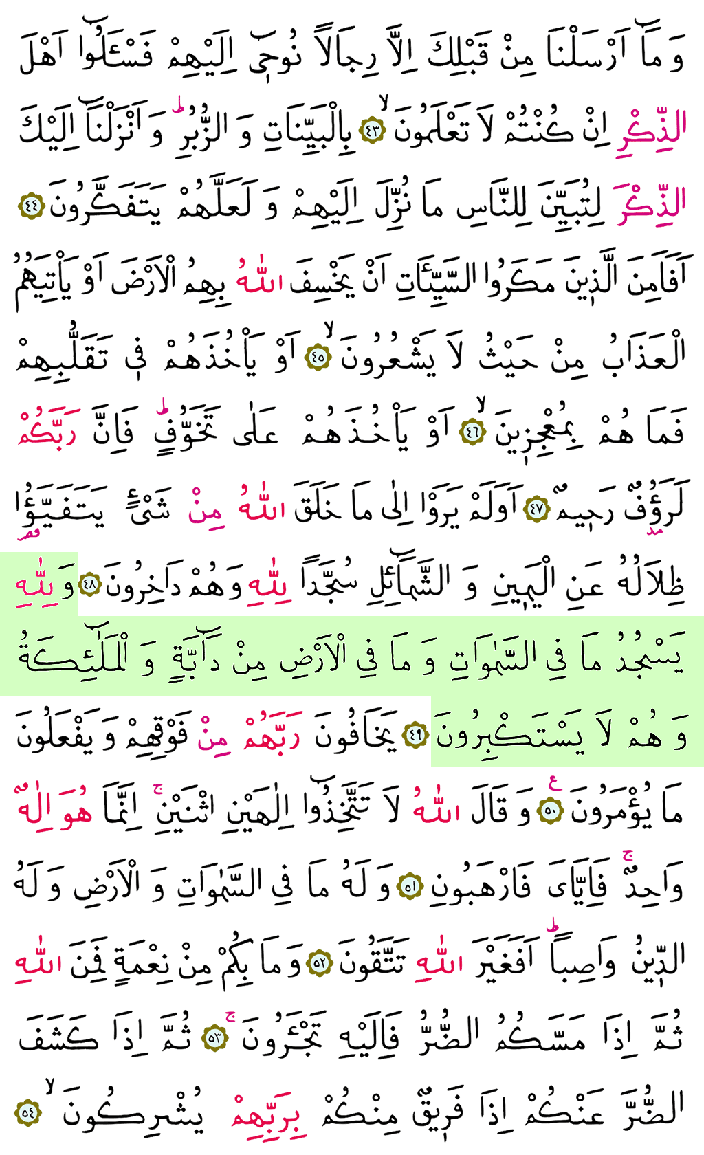 Nahl Sûresi - 271. Sayfa Arapçası
