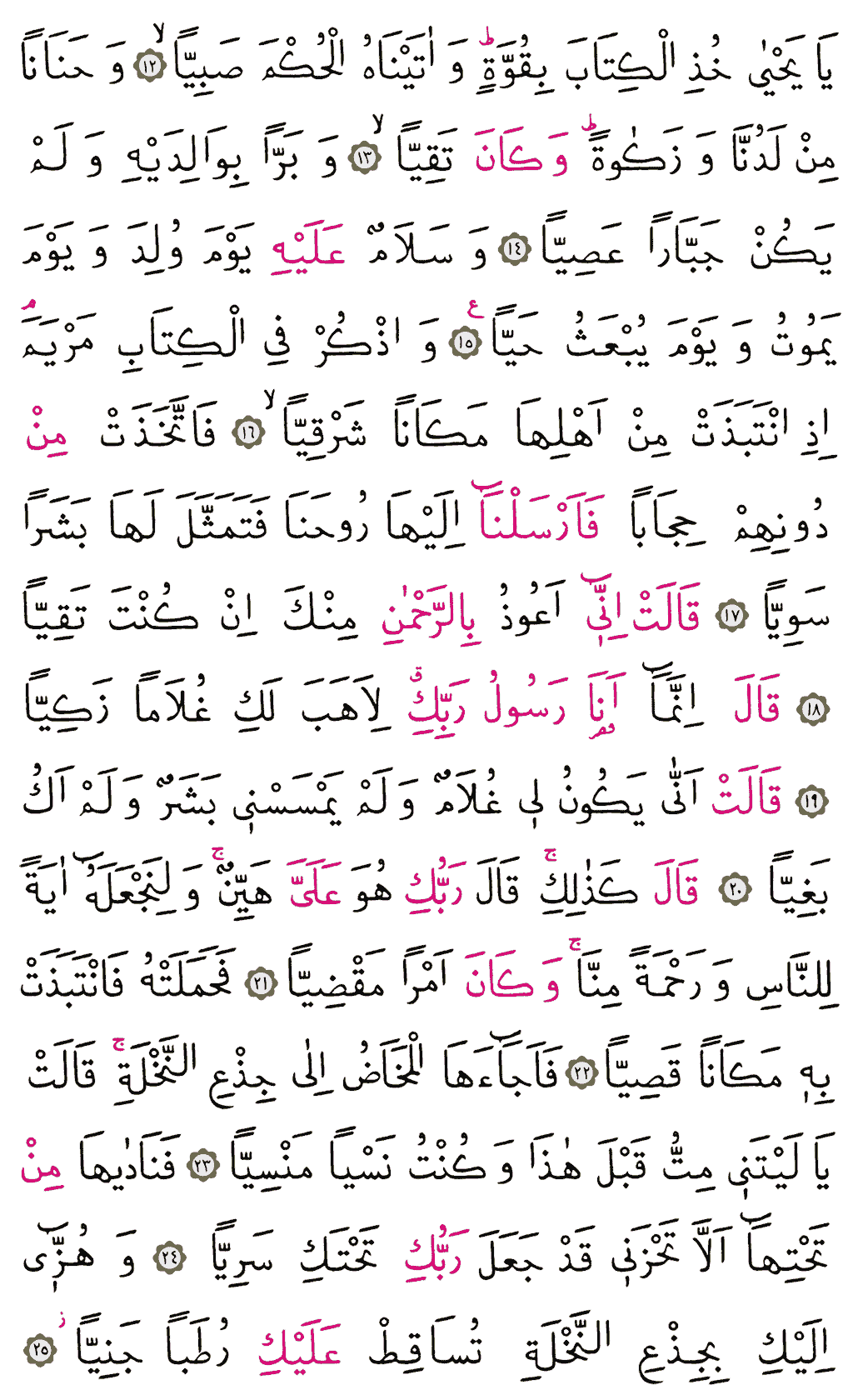 Meryem Sûresi - 305. Sayfa Arapçası