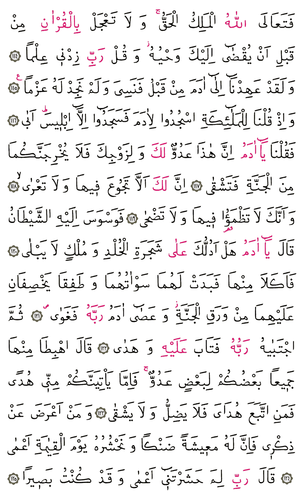 Tâhâ Sûresi - 319. Sayfa Arapçası