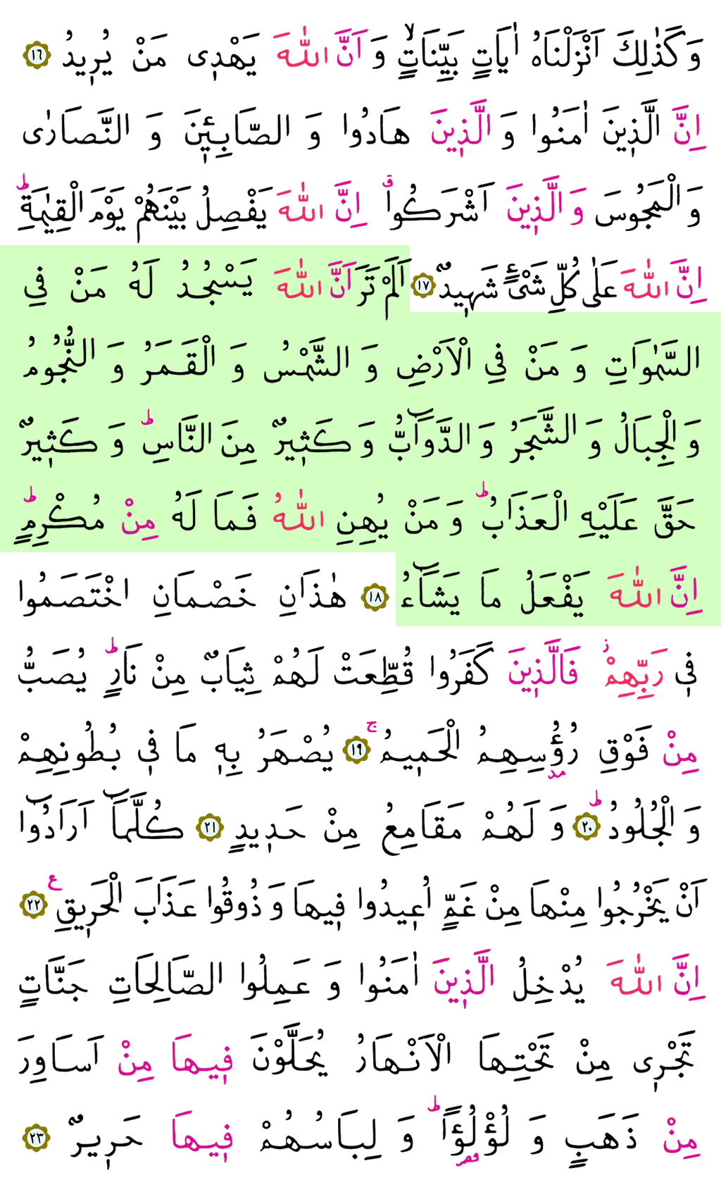 Hac Sûresi - 333. Sayfa Arapçası