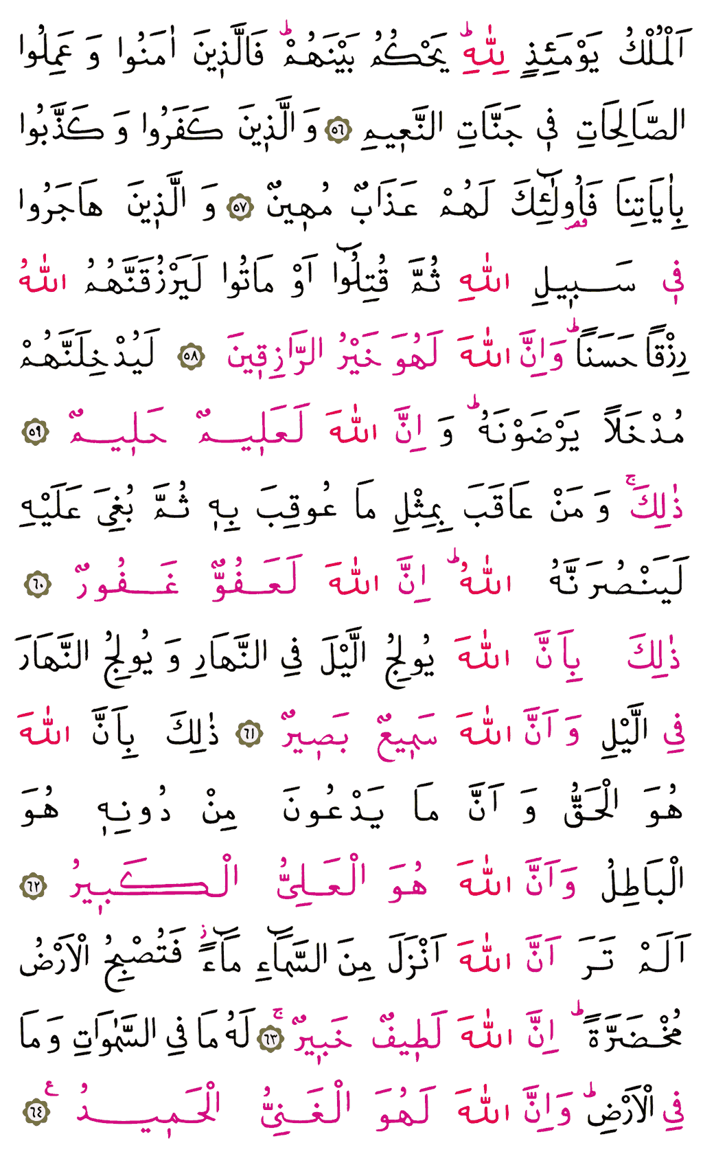 Hac Sûresi - 338. Sayfa Arapçası