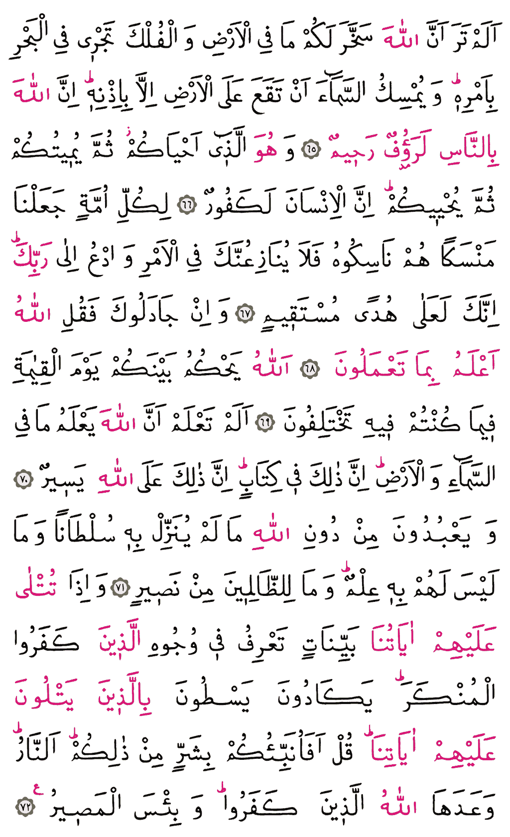 Hac Sûresi - 339. Sayfa Arapçası