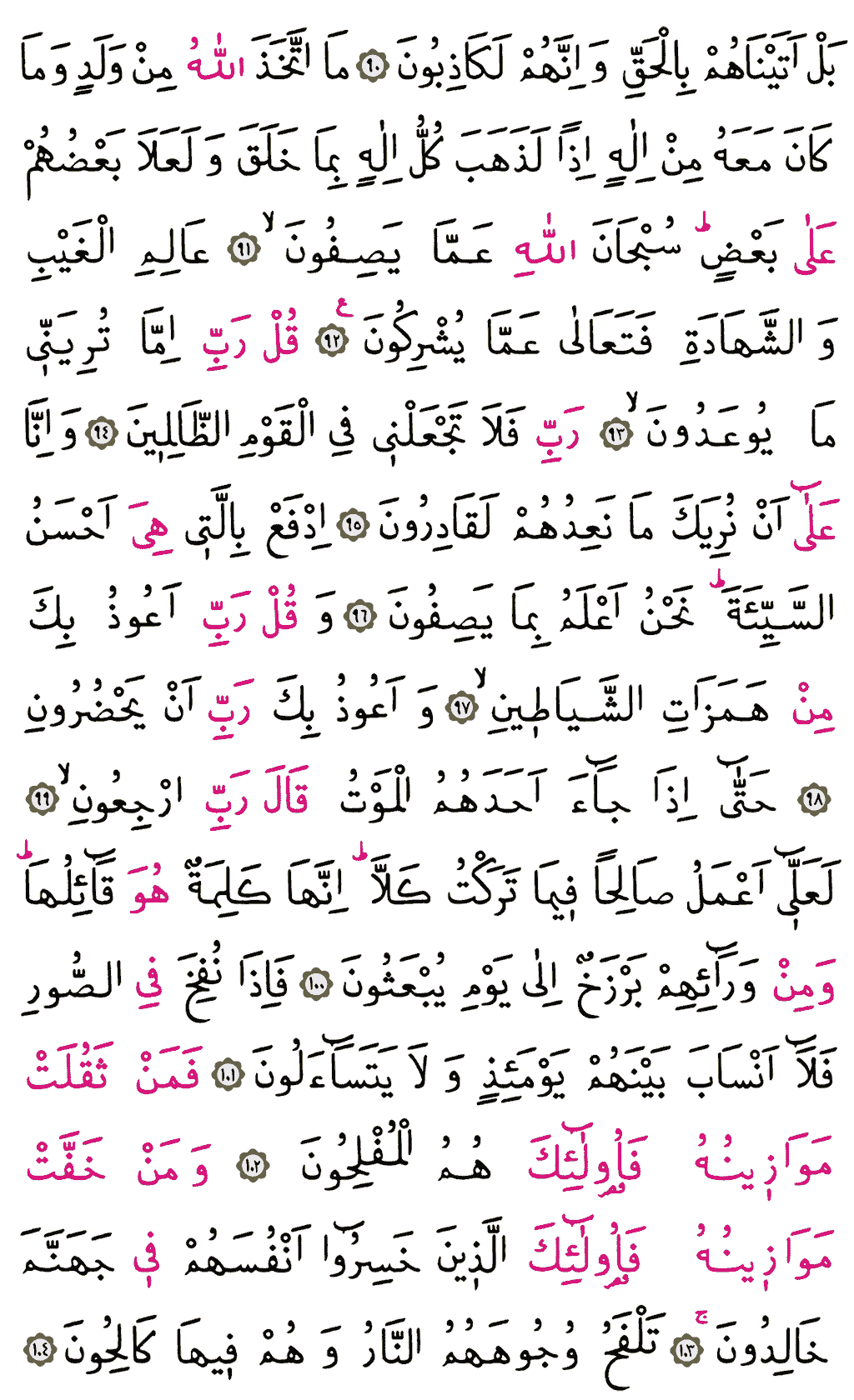 Mü'minûn Sûresi - 347. Sayfa Arapçası
