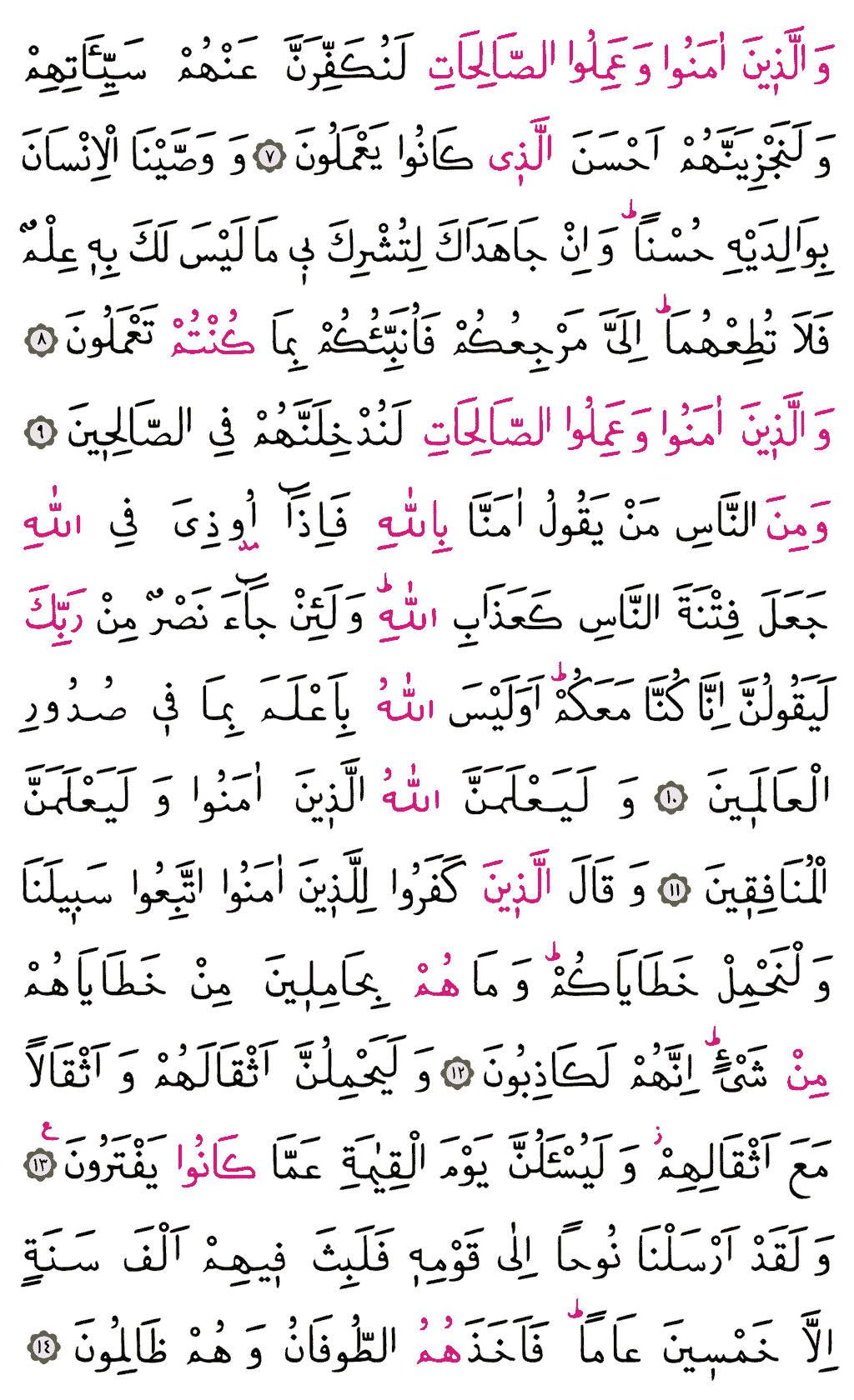 Ankebût Sûresi - 396. Sayfa Arapçası