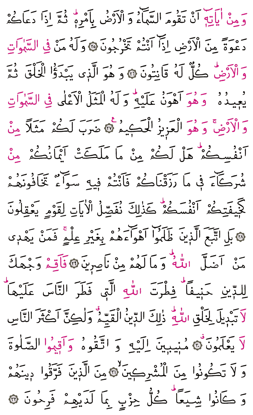 Rûm Sûresi - 406. Sayfa Arapçası