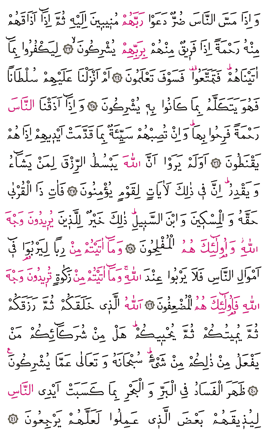 Rûm Sûresi - 407. Sayfa Arapçası