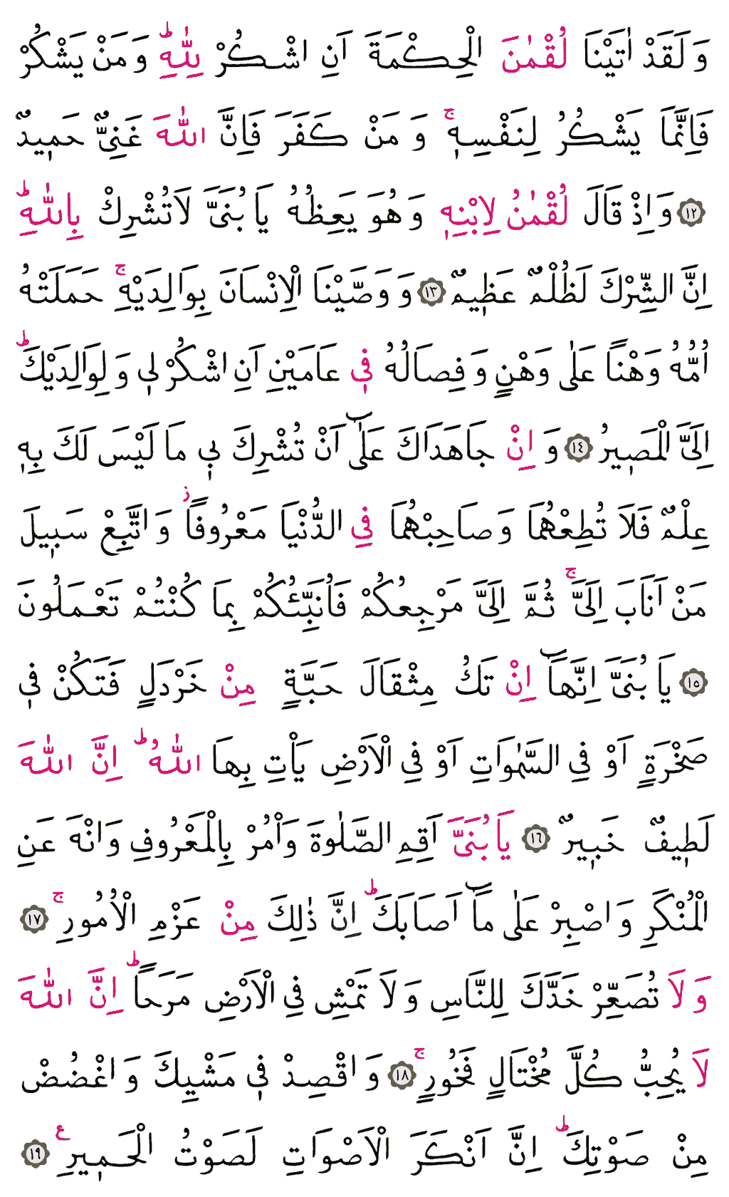 Lokmân Sûresi - 411. Sayfa Arapçası