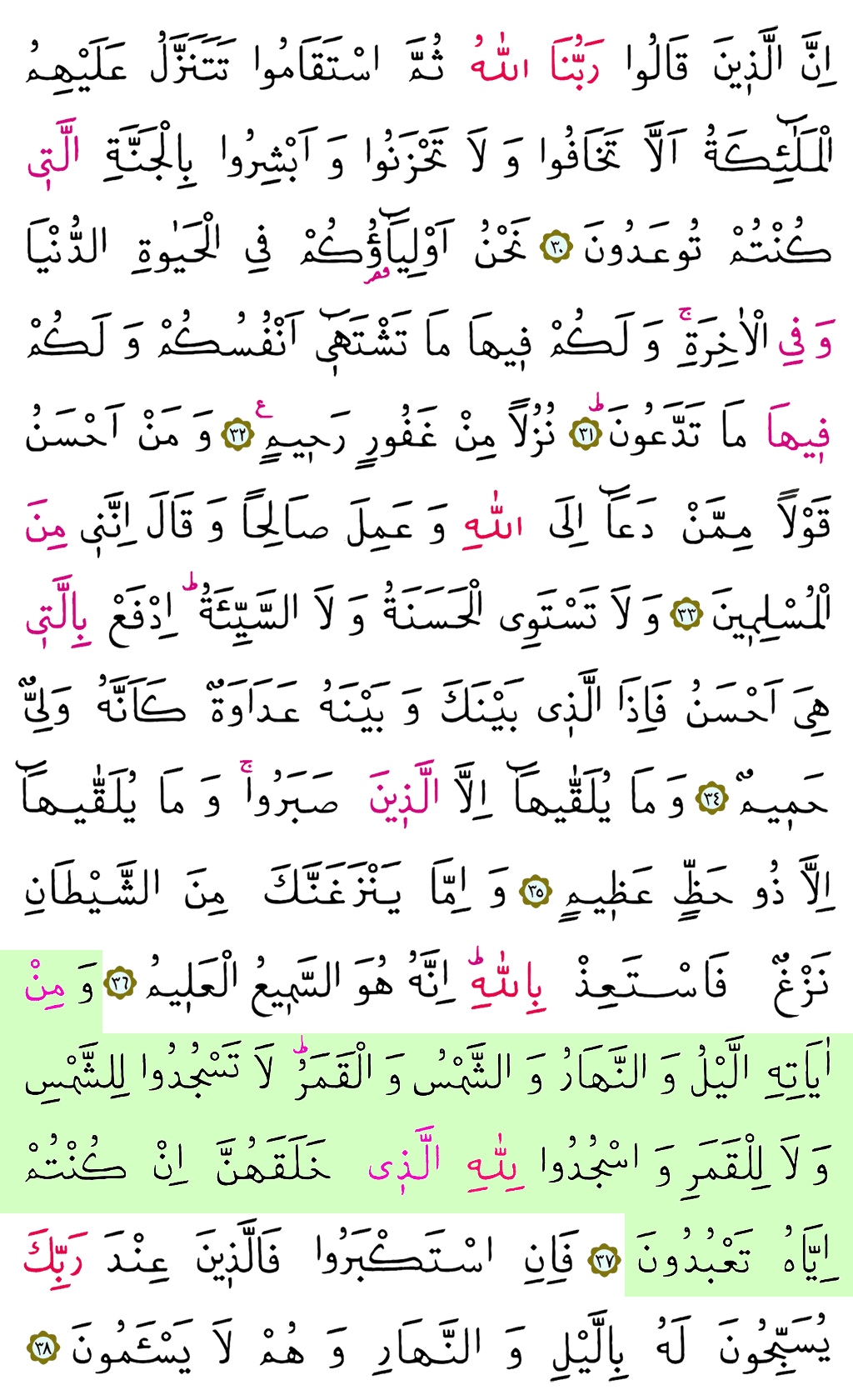 Fussilet Sûresi - 479. Sayfa Arapçası