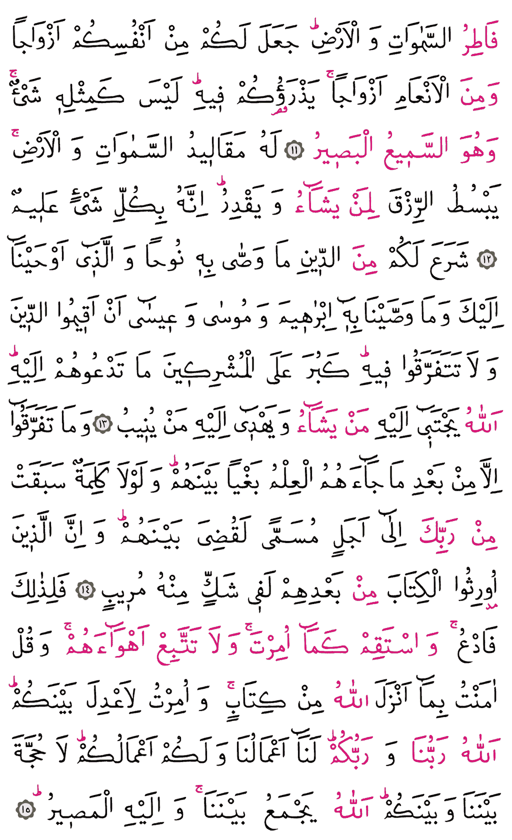 Şûrâ Sûresi - 483. Sayfa Arapçası