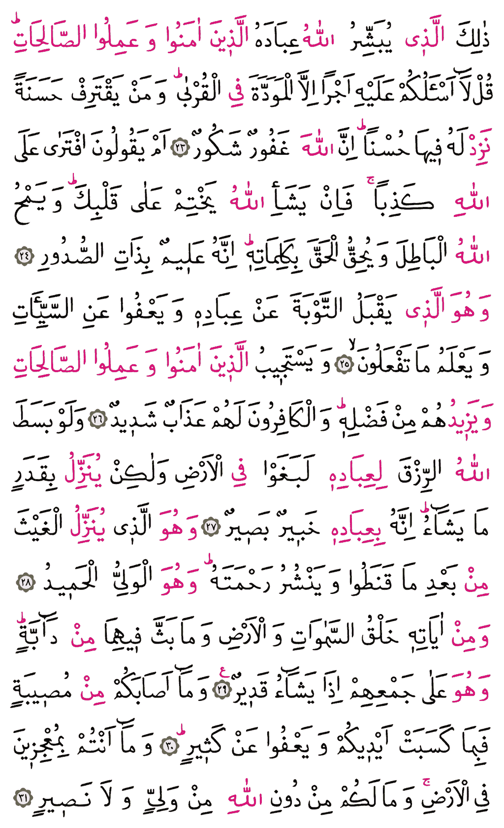 Şûrâ Sûresi - 485. Sayfa Arapçası