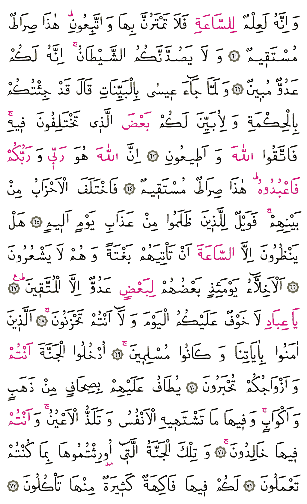 Zuhruf Sûresi - 493. Sayfa Arapçası
