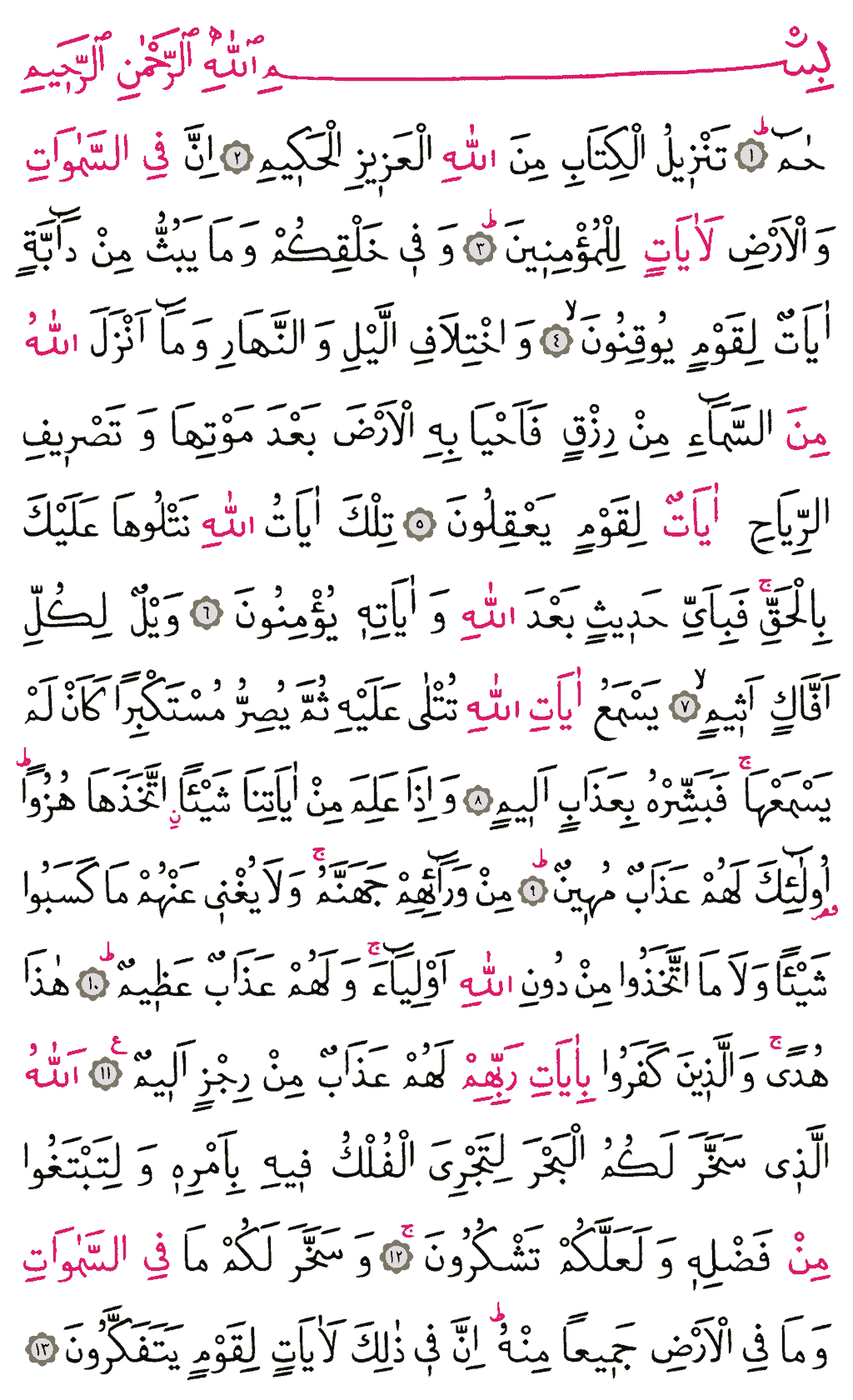 Câsiye Sûresi - 498. Sayfa Arapçası