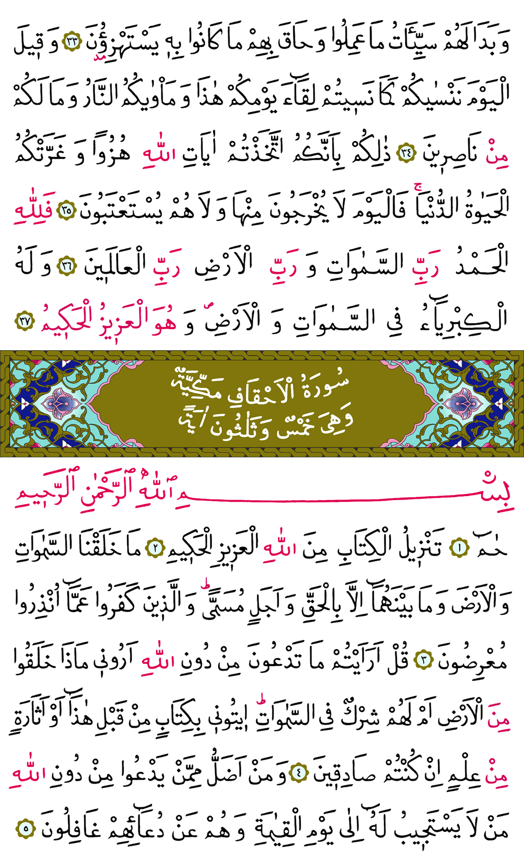 Câsiye ve Ahkâf Sûresi - 501. Sayfa Arapçası