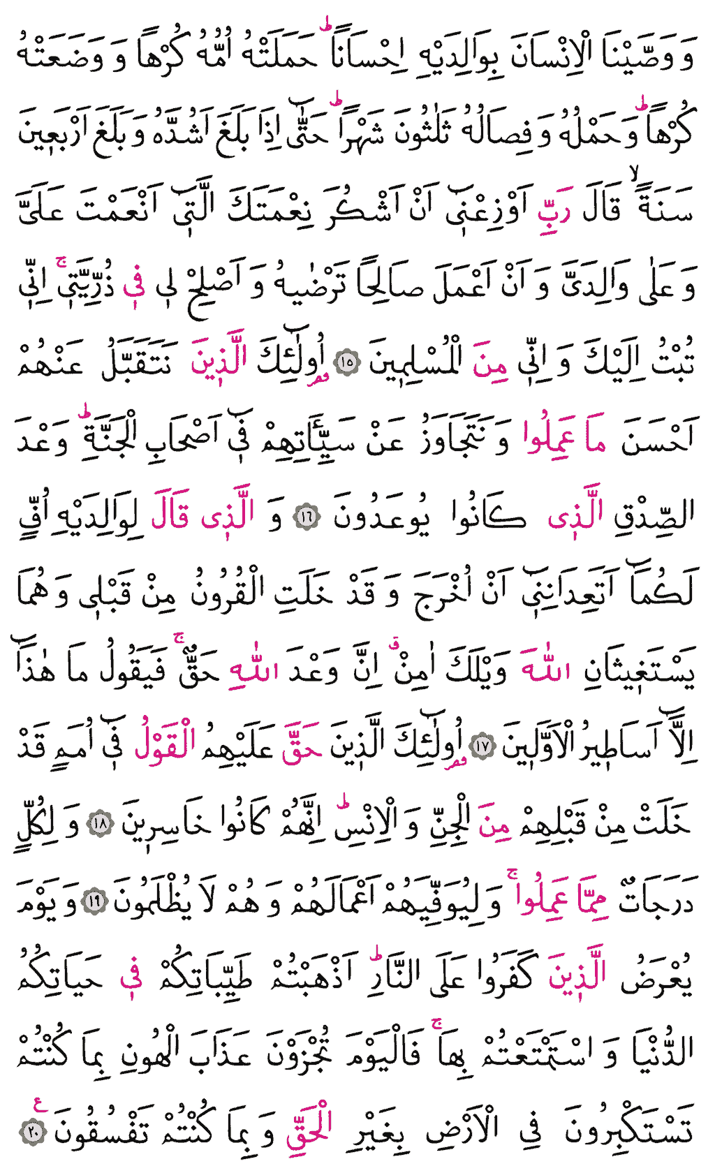 Ahkâf Sûresi - 503. Sayfa Arapçası