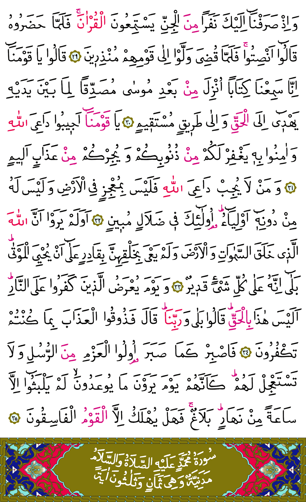 Ahkâf Sûresi - 505. Sayfa Arapçası