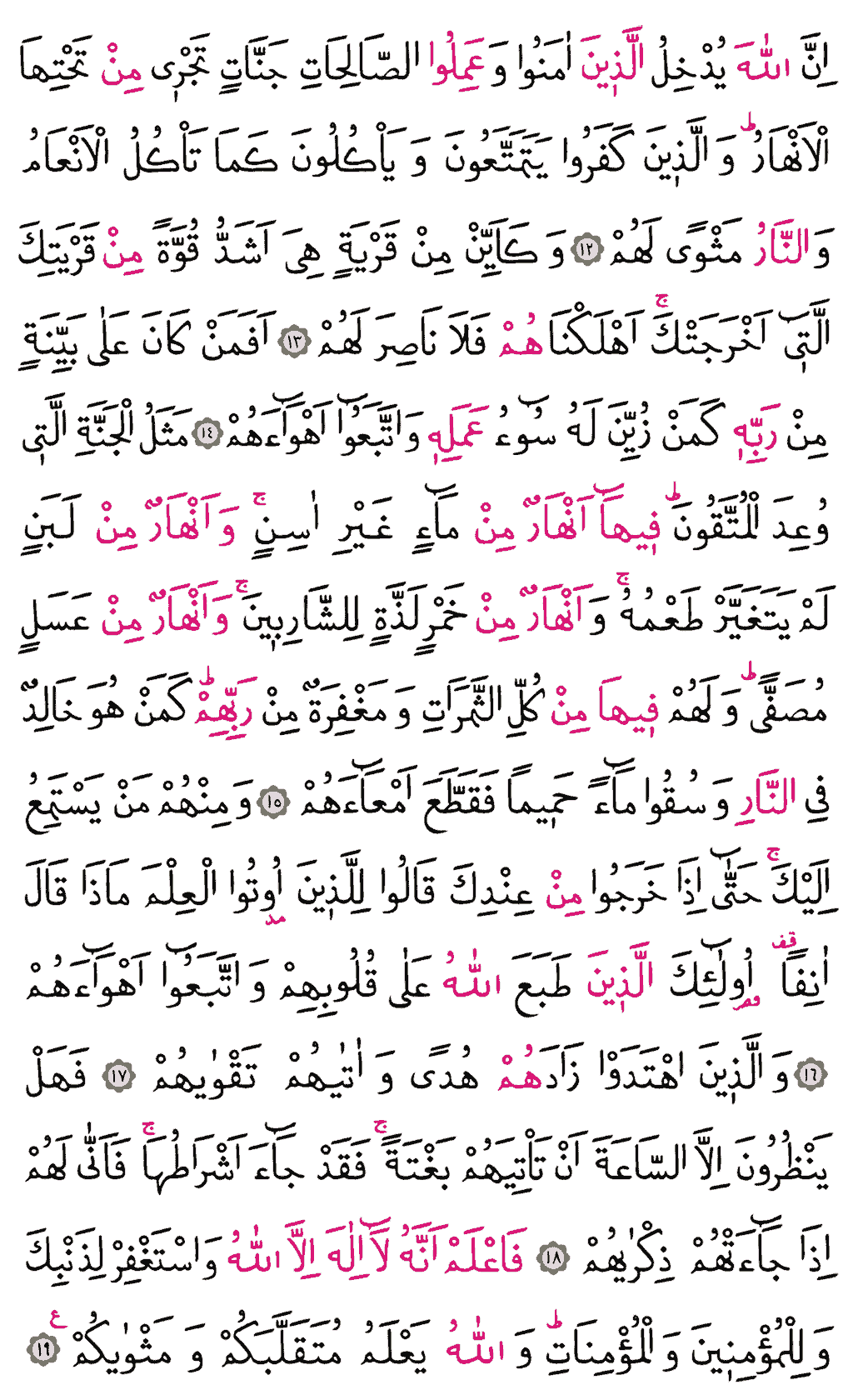 Muhammed Sûresi - 507. Sayfa Arapçası