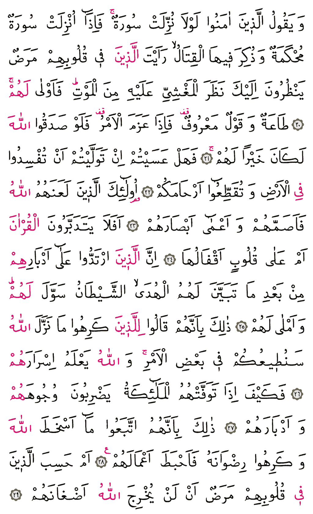 Muhammed Sûresi - 508. Sayfa Arapçası