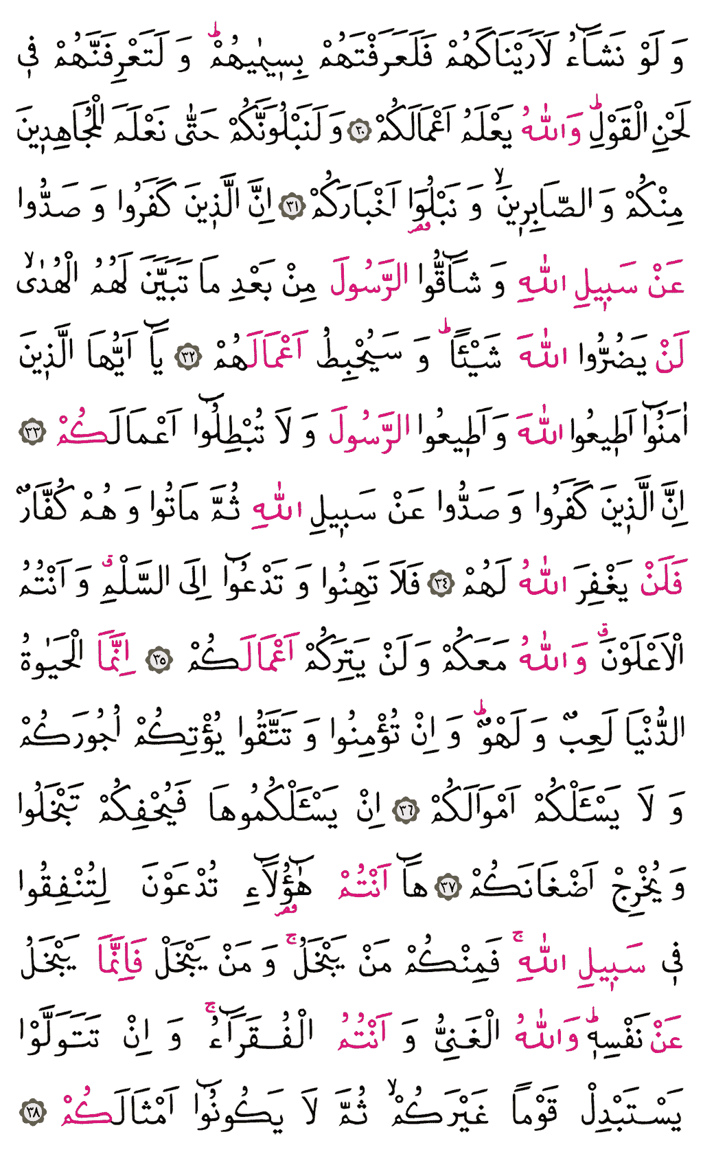 Muhammed Sûresi - 509. Sayfa Arapçası
