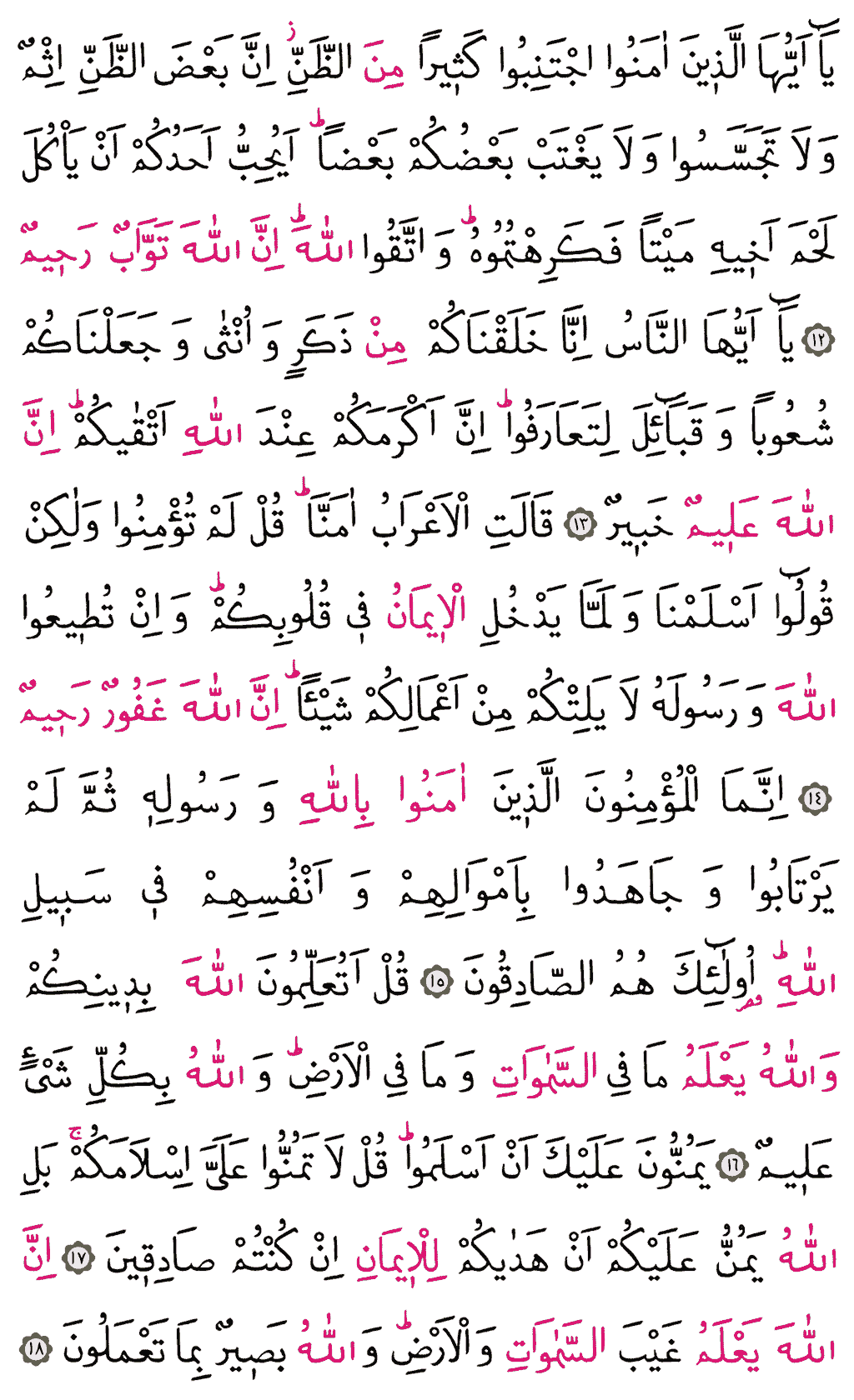 Hucurât Sûresi - 516. Sayfa Arapçası
