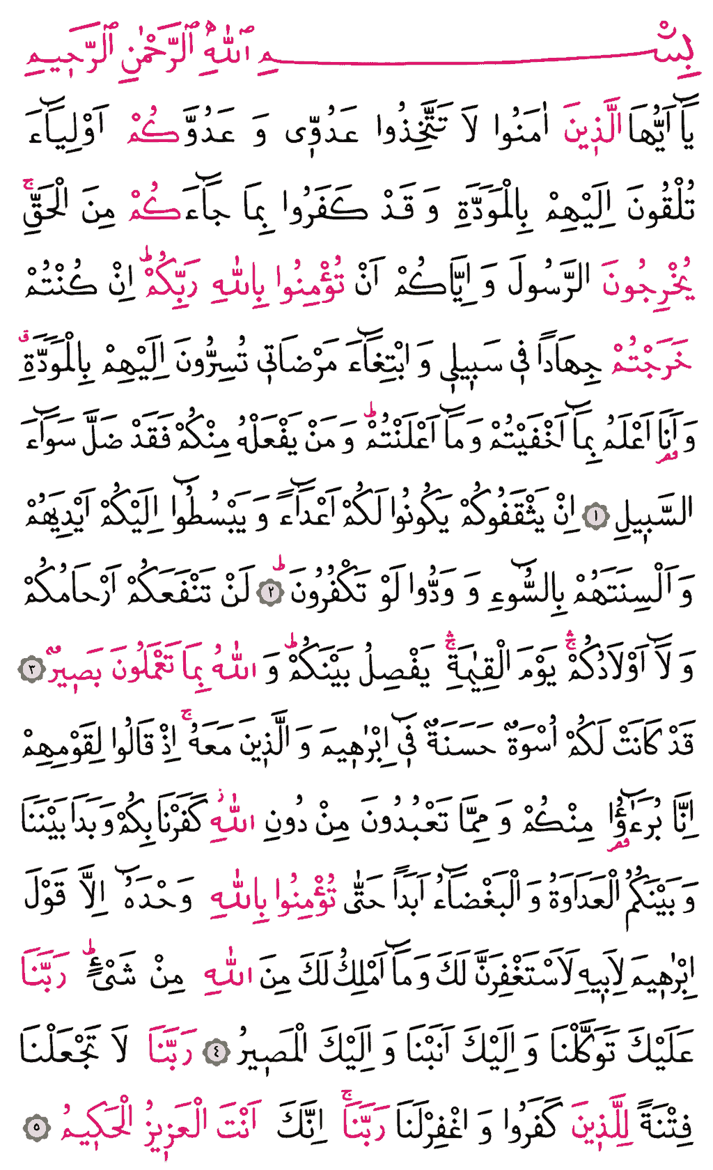 Mümtehine Sûresi - 548. Sayfa Arapçası