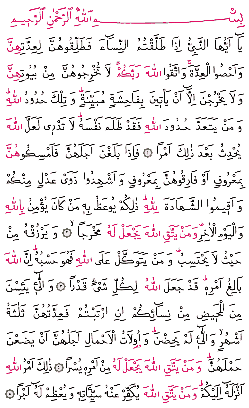 Talâk Sûresi - 557. Sayfa Arapçası